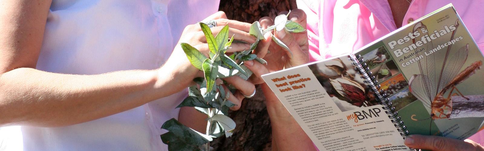 Two people comparing a plant to pests publication