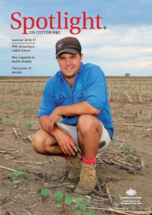 Cover of Spotlight Magazine - Summer 2016-17. A cotton grower in a blue shirt kneeling in a cotton paddock with small cotton seedlings.