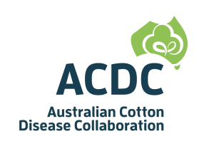 ACDC logo