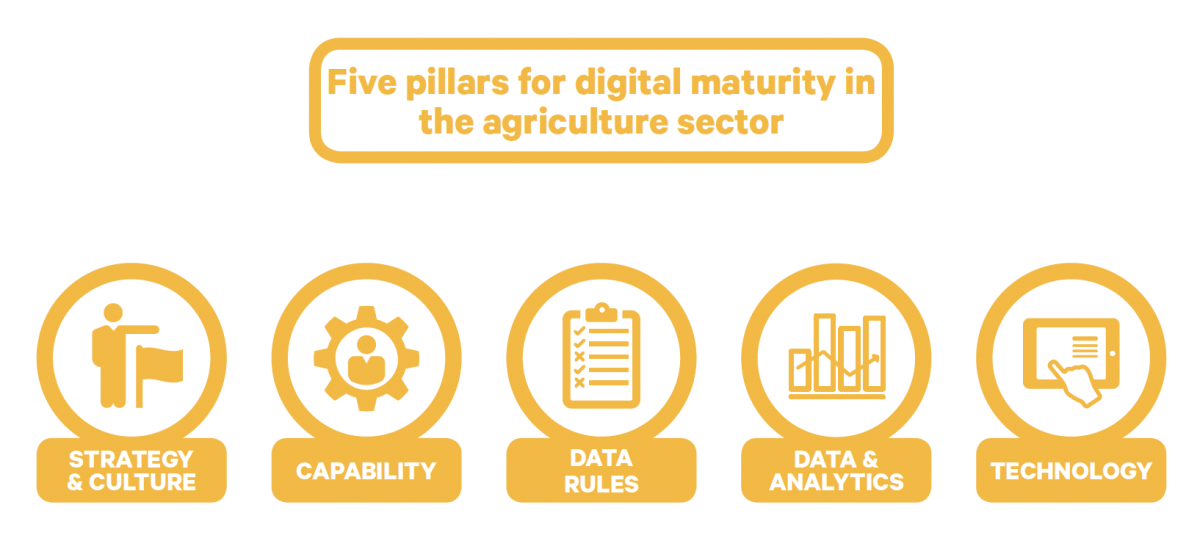 Five pillars for digital maturity in the agriculture sector infograph