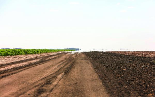 open bare field