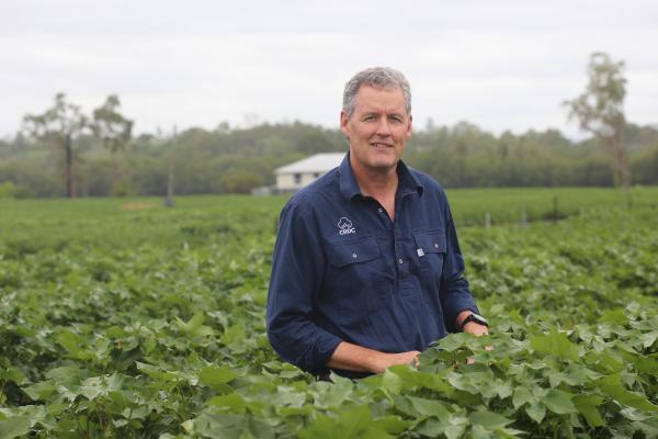 Warwick Waters standing in a cotton field. 