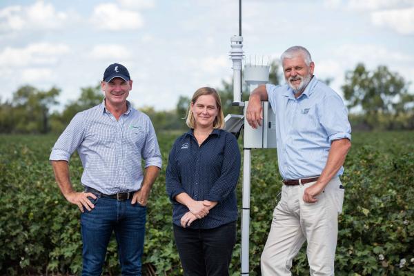 Tom Dowling Susan Maas and Gordon Cumming standing in a cotton field