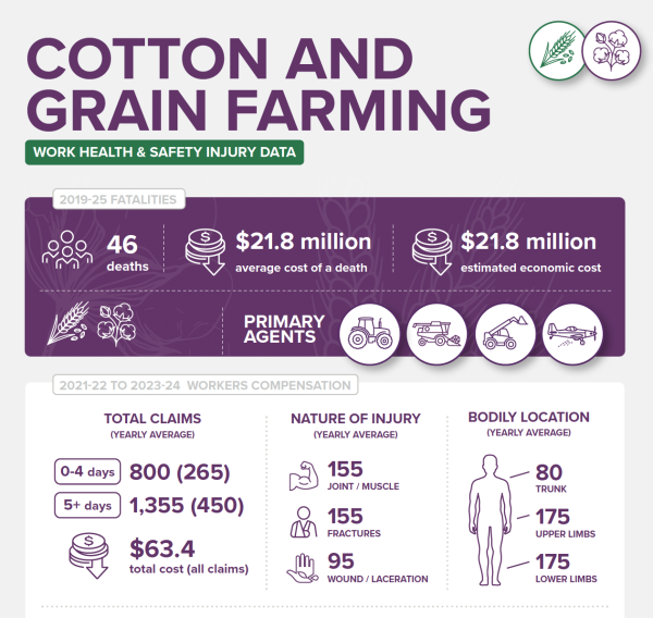 Cotton and grain infographic