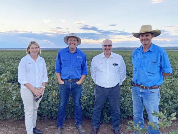 CRDC Deputy Chair Rosemary Richards, University of Sydney Associate Professor Guy Roth, CRDC Executive Director Dr Ian Taylor, and Narrabri dryland cotton grower Geoff O'Neill.
