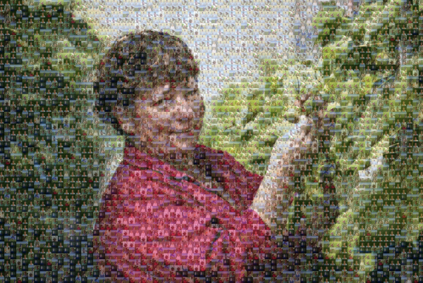 A photomosaic of a woman checking a plant, made of many images of women