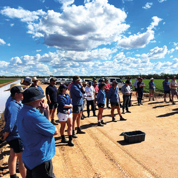 The Macquarie CGA recently held a red soils field day, which builds on previous field days on  irrigation in red soil and moisture conservation, made possible through CRDC’s Grassroots Grants program.