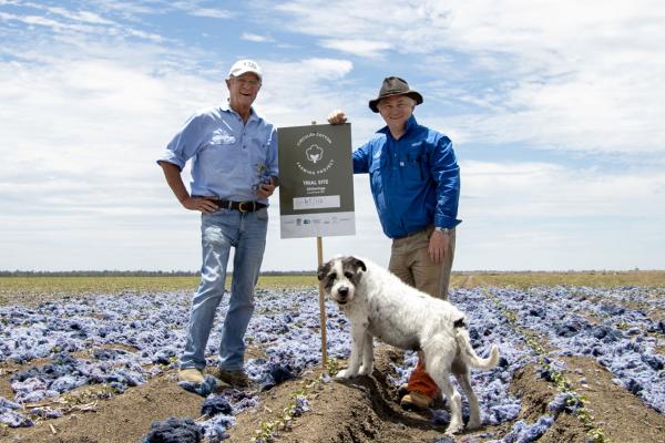 Cotton grower Sam Coulton with lead researcher Dr Oliver Knox