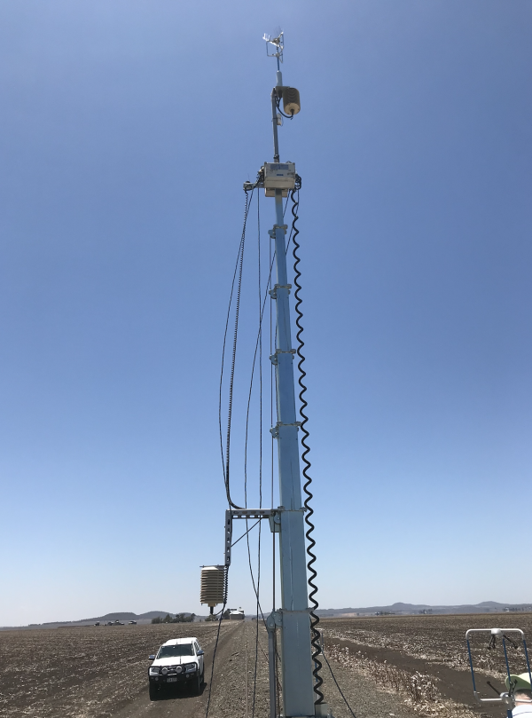 Tall weather sensing device