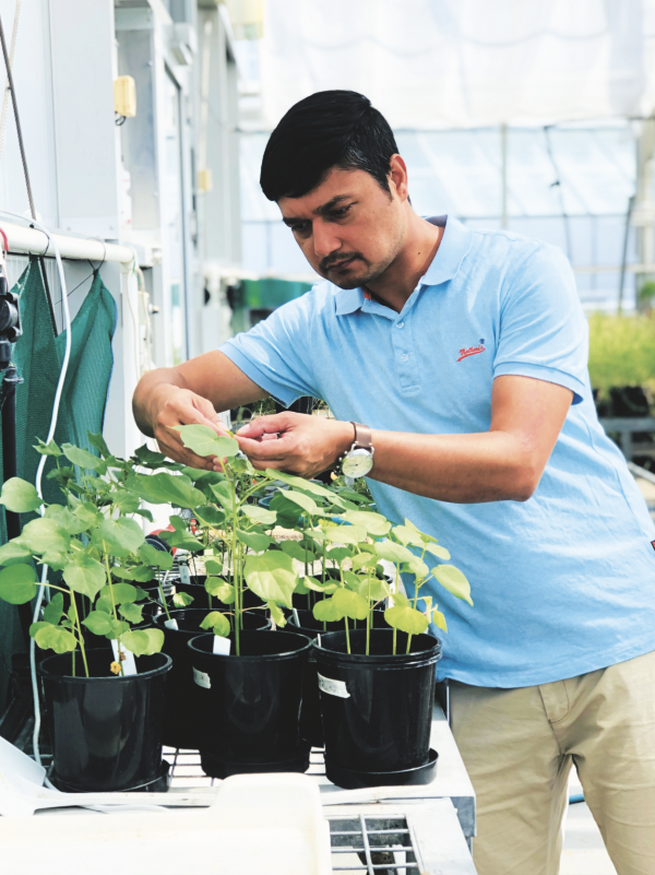 Dr Dinesh Kafle checking plants in a greenhouse