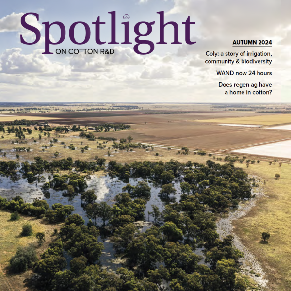 Spotlight Autumn cover sq