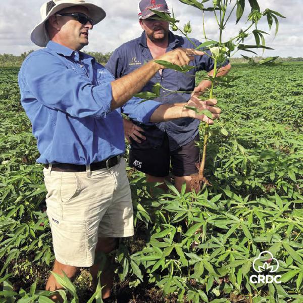 Spotlight magazine - Autumn 2025