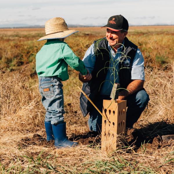 Grandfather and grandson planting trees