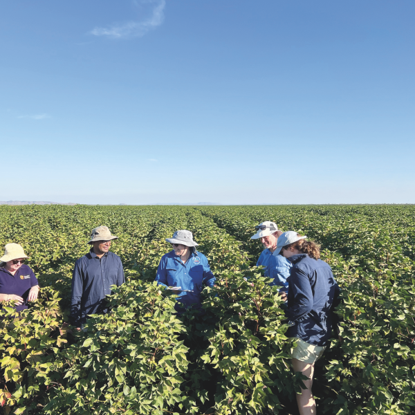 ACDC team in field.