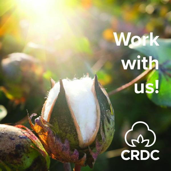 Work with us!