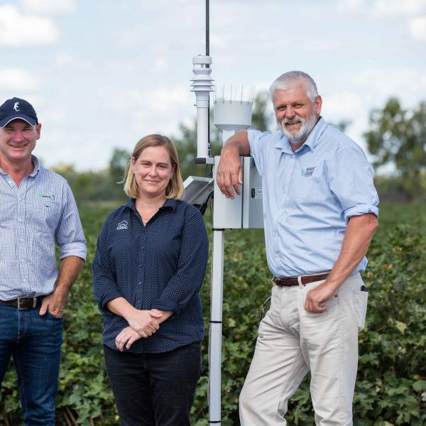 Tom Dowling Susan Maas and Gordon Cumming standing in a cotton field