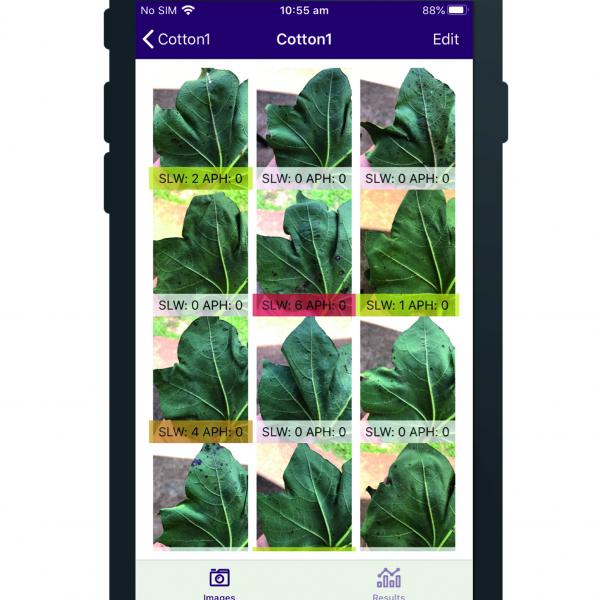iPhone displaying the PestDetect app