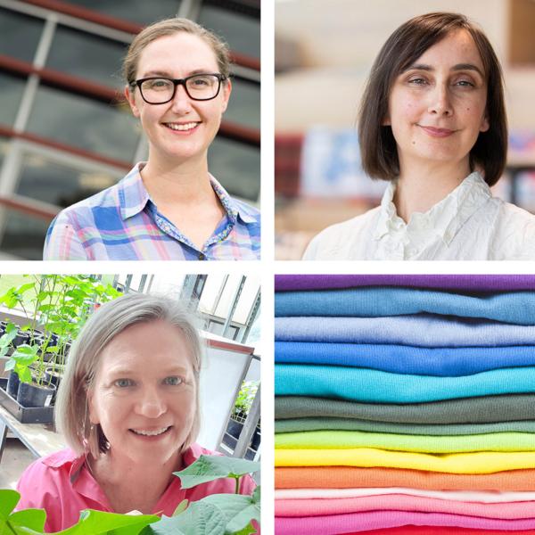 Researcher of the year finalists