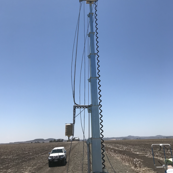 Tall weather sensing device