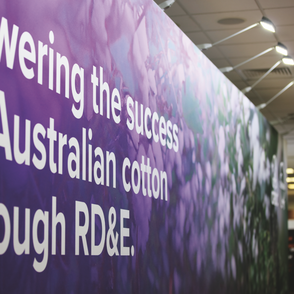 Wall with wording "powering the success of Australian cotton through RD&E"