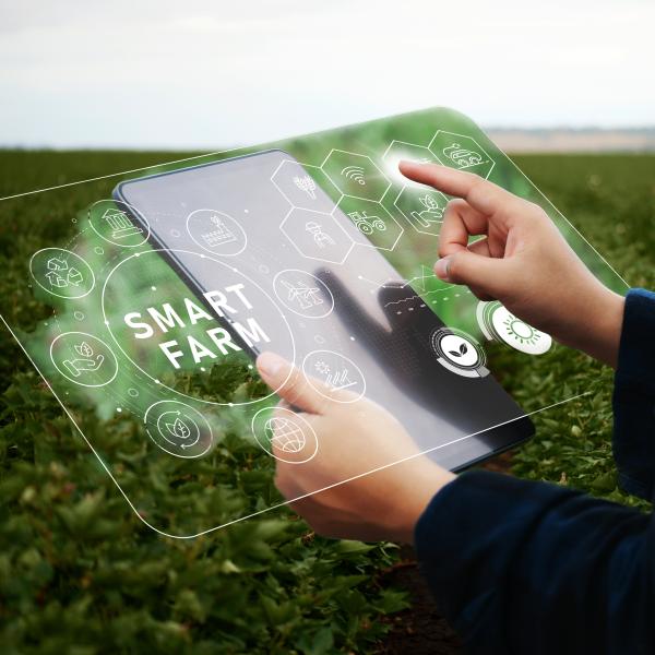 Smart farm