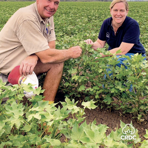 Cover image of the CRDC Spotlight magazine Summer 2021-22. Two people kneeling in a cotton paddock.