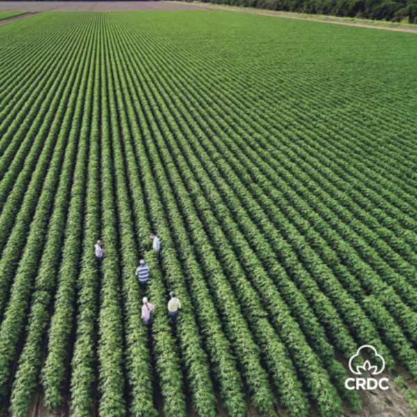 Spotlight magazine - Spring 2025