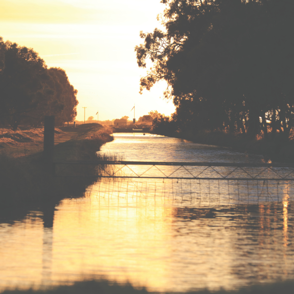 Australian cotton growers have some new tools to guide their businesses to be as efficient and sustainable as possible.