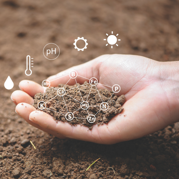 Creating a platform for the future of Australian cotton