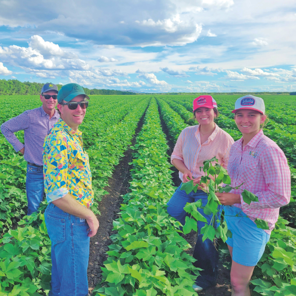 Central Highlands’ growers George Sypher and Max Vowell from Cowal Agriculture, with NRG Ag’s Avanell Morawitz and Clementine Morawitz taking a close up of cotton in the Ord on a trip made possible through CRDC’s Grassroots Grants.