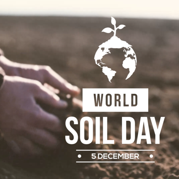 World Soil Day