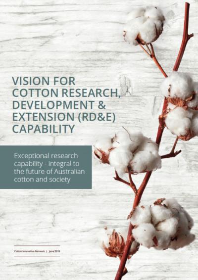 Cover of Vision for Cotton RD&E Capability report. A cotton branch with open white cotton bolls on a white background.