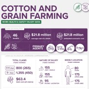 Cotton and grain infographic