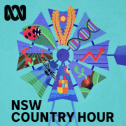 NSW Country Hour