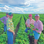 Central Highlands’ growers George Sypher and Max Vowell from Cowal Agriculture, with NRG Ag’s Avanell Morawitz and Clementine Morawitz taking a close up of cotton in the Ord on a trip made possible through CRDC’s Grassroots Grants.